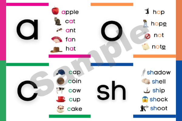 NOAH×Phonicsブログ記事のサムネイル